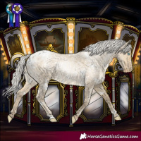 Horse Color:White Spotted Silver Buckskin Roan Pearl Dun Snowflake Varnish 