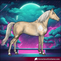 Horse Color:White Spotted Palomino