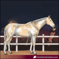 Horse Color:White Spotted Palomino