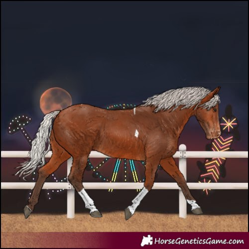 Horse Color:Silver Bay Tobiano Skewed LP Spotted Rabicano