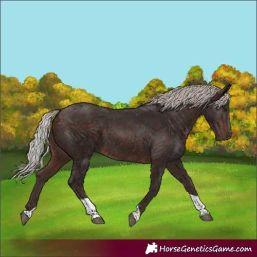 Horse Color:Silver Brown Tobiano