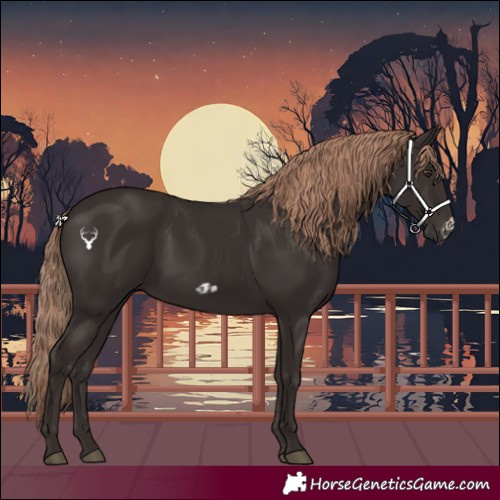 Horse Color:Liver Chestnut and Liver Chestnut Frame