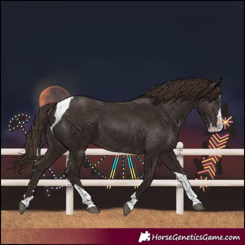 Horse Color:Liver Chestnut Splash Tobiano 