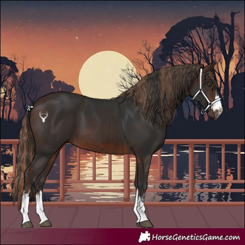 Horse Color:Liver Chestnut  and Brown 