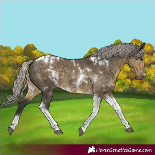 Horse Color:White Spotted Silver Smoky Grullo Tobiano 