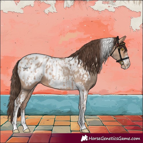 Horse Color:Amber Champagne Sabino Tobiano Appaloosa  and Amber Champagne Sabino Tobiano Frame Appaloosa 