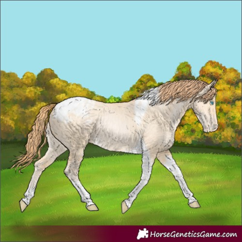 Horse Color:Buckskin Pearl Dun Tobiano Appaloosa Rabicano 