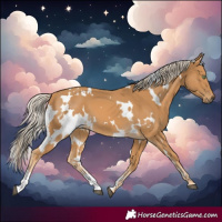 Horse Color:White Spotted Palomino