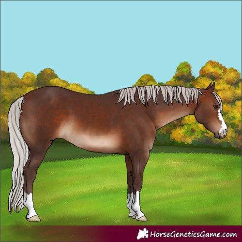 Horse Color:Silver Brown