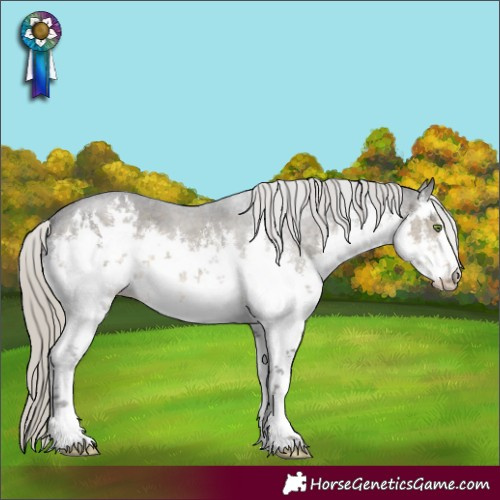 Horse Color:White Spotted Silver Smoky Black