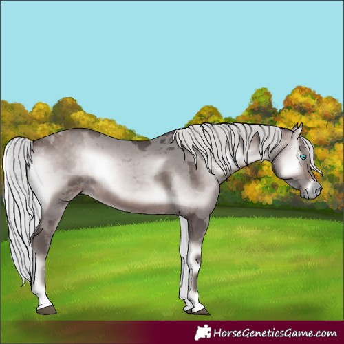 Horse Color:Platinum Silver Brown Onyx Merle Rabicano 