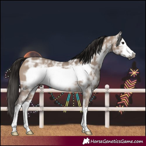 Horse Color:Gray Bay Ice Dun Sabino Frame 