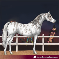 Horse Color:Silver Black Sabino 