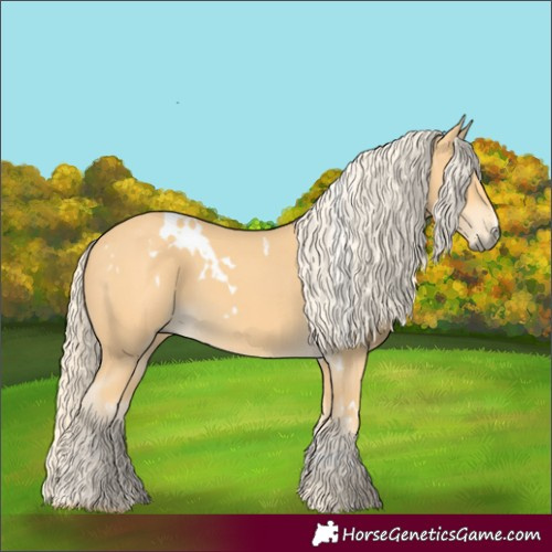 Horse Color:White Spotted Palomino
