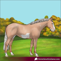 Horse Color:Silver Amber Champagne Frame
