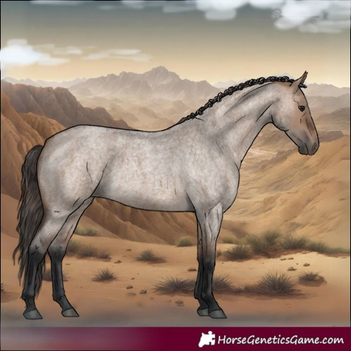 Horse Color:Brown Roan Dun 