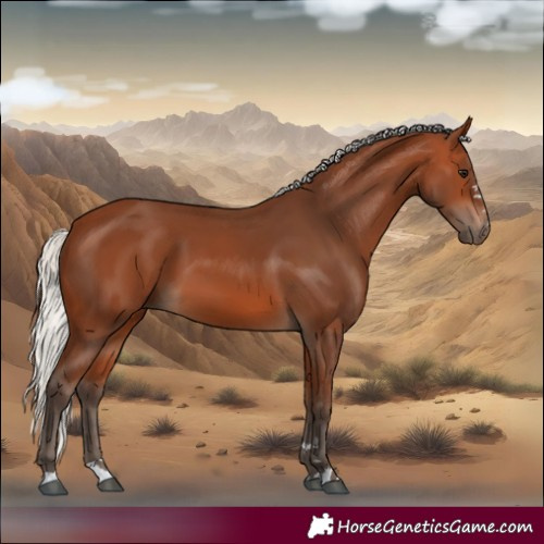 Horse Color:Silver Bay