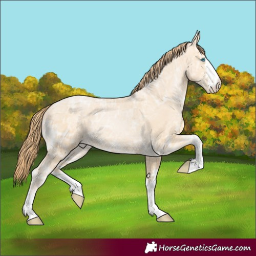 Horse Color:Buckskin Ice Pearl