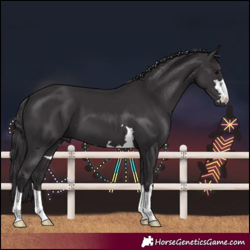 Horse Color:Smoky Black