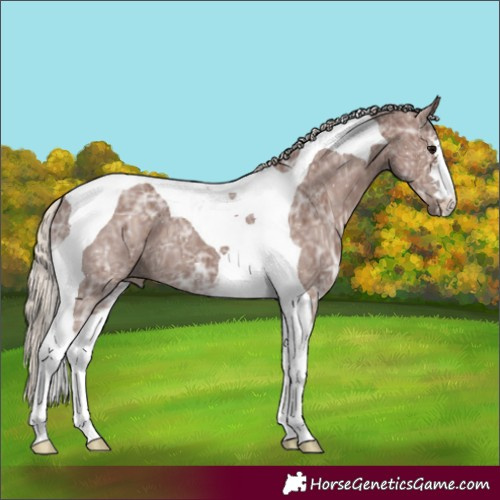Horse Color:Chocolate Silver Black Ice Tobiano