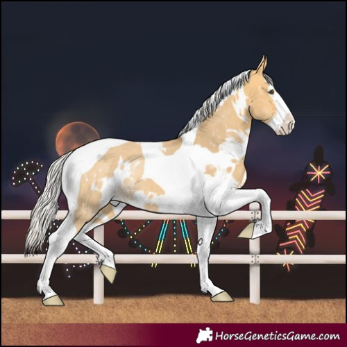 Horse Color:White Spotted Silver Buckskin Dun Splash Tobiano