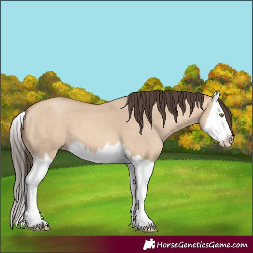 Horse Color:Amber Champagne Dun Splash