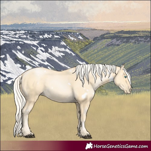 Horse Color:White Spotted Palomino Pearl