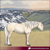 Horse Color:White Spotted Palomino Pearl