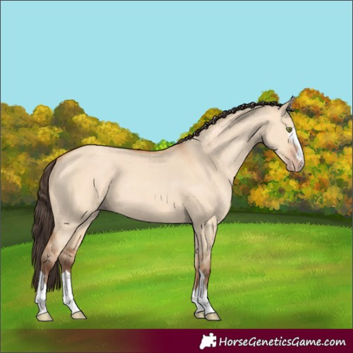 Horse Color:Amber Champagne Dun 