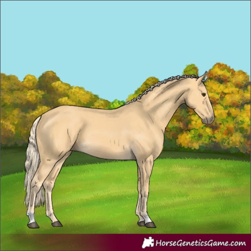 Horse Color:Palomino 