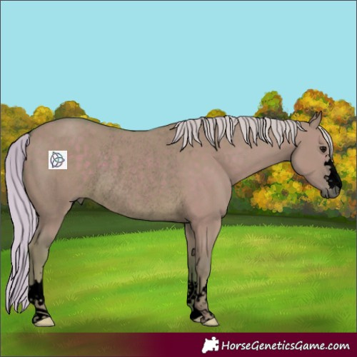 Horse Color:Void Watercolor Silver Smoky Grullo Rabicano 