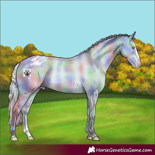 Horse Color:Nacre Watercolor Silver Amber Champagne Dun Sabino Splash Varnish Rabicano 