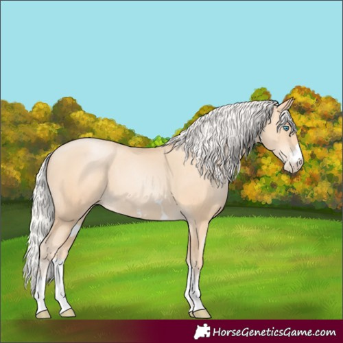 Horse Color:Silver Amber Champagne Pearl