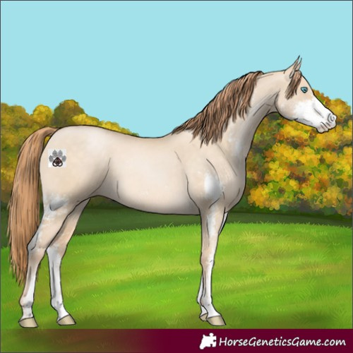 Horse Color:Buckskin Pearl Dun Sabino