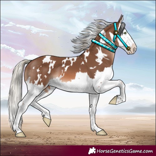 Horse Color:White Spotted Chestnut Mushroom Splash 