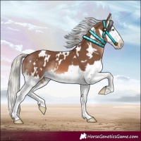 Horse Color:White Spotted Chestnut Mushroom Splash 