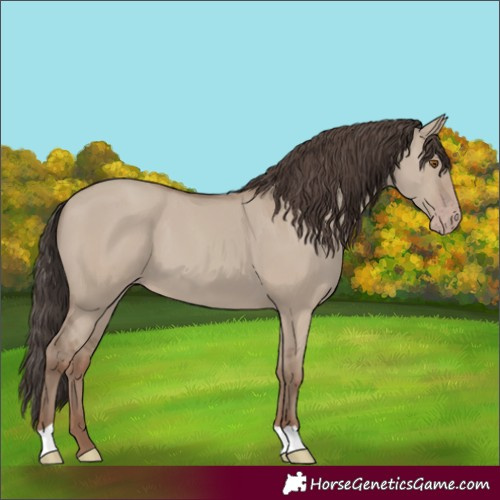 Horse Color:Classic Champagne Dun