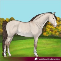 Horse Color:Classic Champagne Dun 