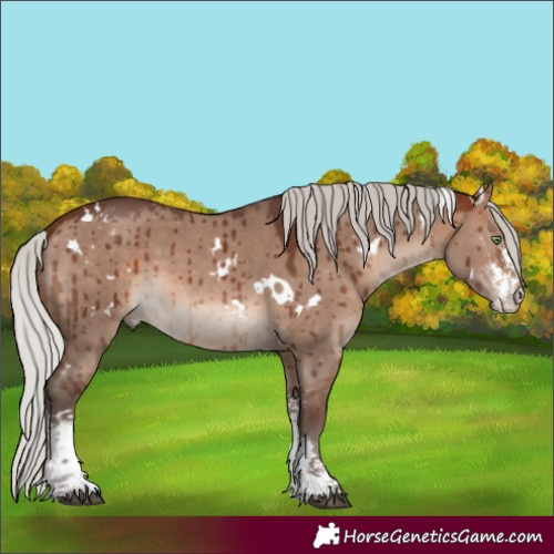 Horse Color:White Spotted Silver Brown Dun Mushroom Sabino Brindle