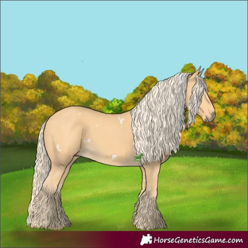 Horse Color:White Spotted Palomino 