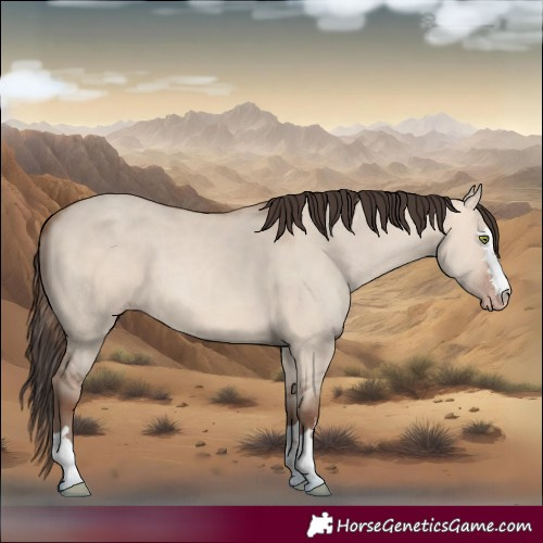 Horse Color:Amber Champagne Dun
