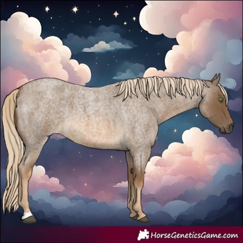 Horse Color:Chocolate Palomino Roan 