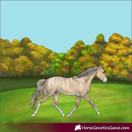 Horse Color:Powder White Chocolate Palomino Dun