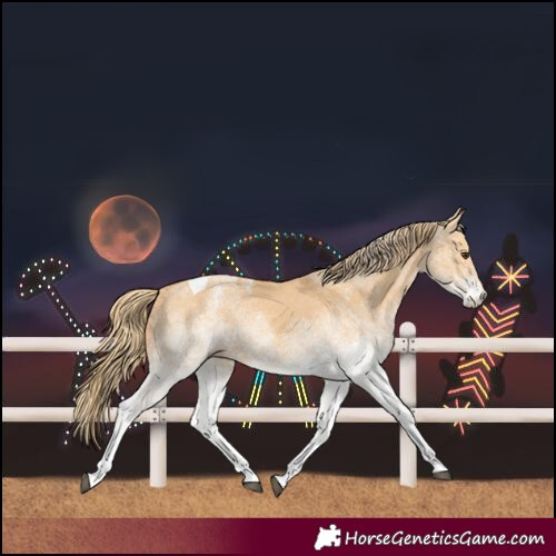 Horse Color:White Spotted Red Dun Tobiano