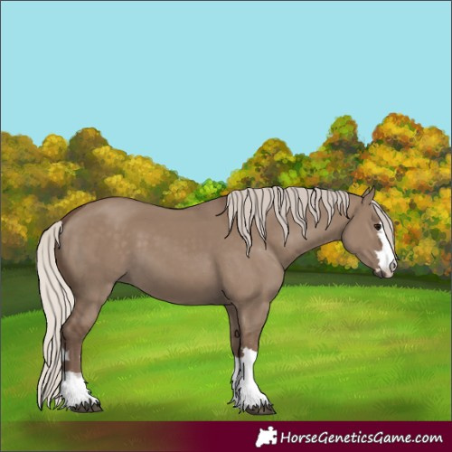 Horse Color:Silver Grullo