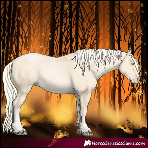 Horse Color:Palomino Pearl