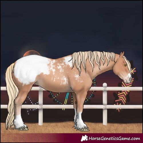 Horse Color:Gold Champagne Snowcap