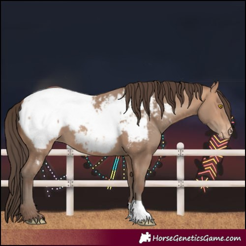 Horse Color:Amber Champagne Snowcap 