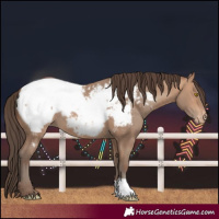Horse Color:Amber Champagne Snowcap 