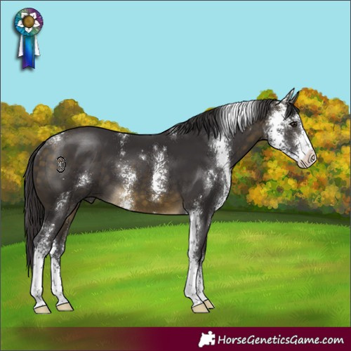 Horse Color:Buckskin Sabino